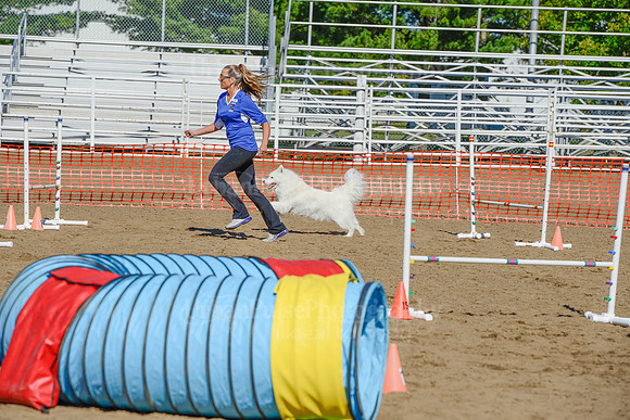 AGILITY-2134