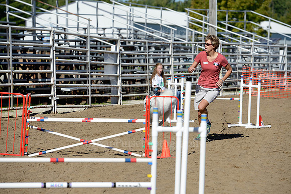 AGILITY-1980