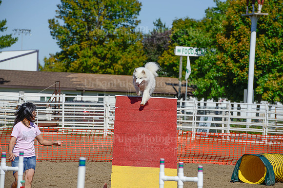 AGILITY-2252