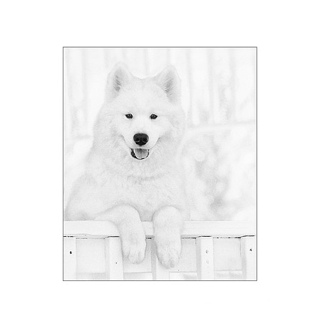 "Snow White" 2016 Kodak Gallery Award