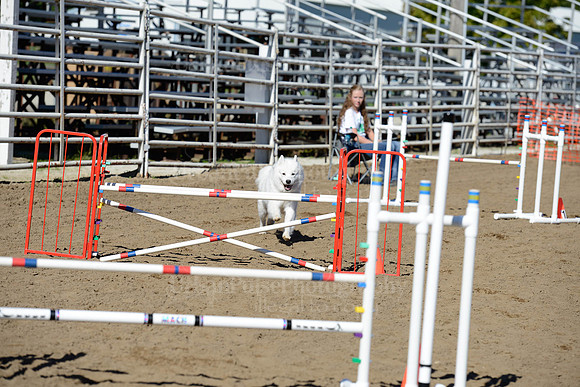 AGILITY-2011