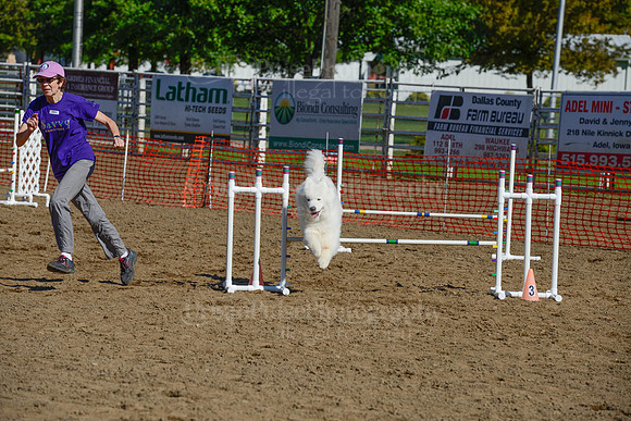 AGILITY-2194