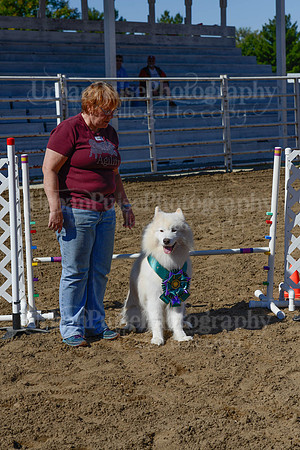 AGILITY-2239