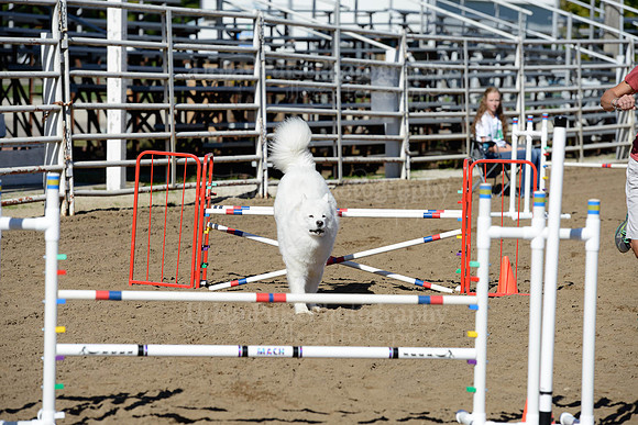AGILITY-1983