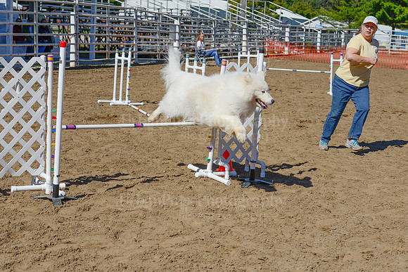 AGILITY-2382