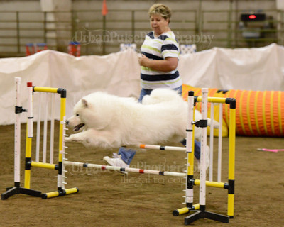 SCA2016_AG MON FAST NOVICE-3595
