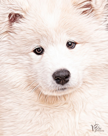 MAYA FACE ART