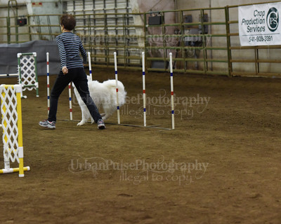 SCA2016_AG MON FAST NOVICE-0106