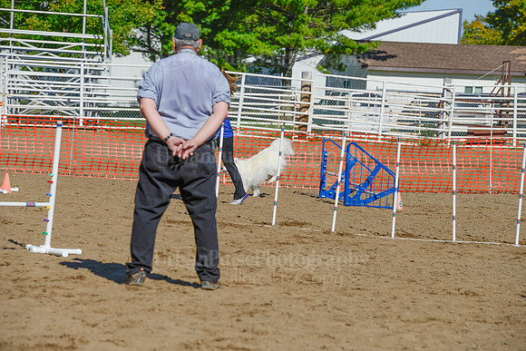 AGILITY-2132