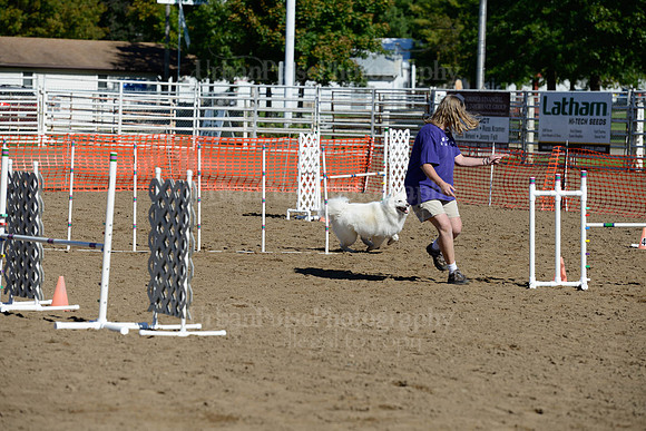 AGILITY-1907