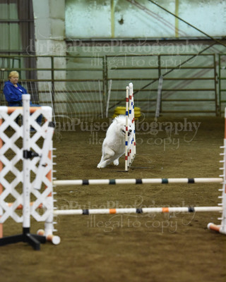 SCA2016_AG MON JWW NOVICE-1191
