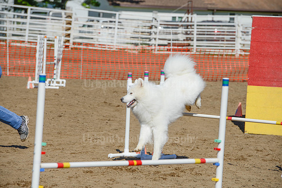 AGILITY-2356