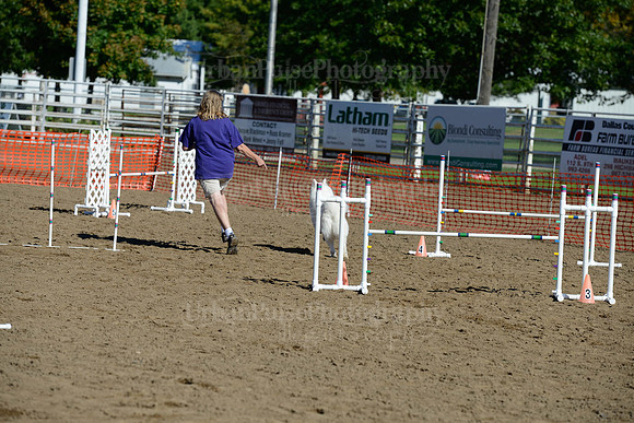 AGILITY-1893