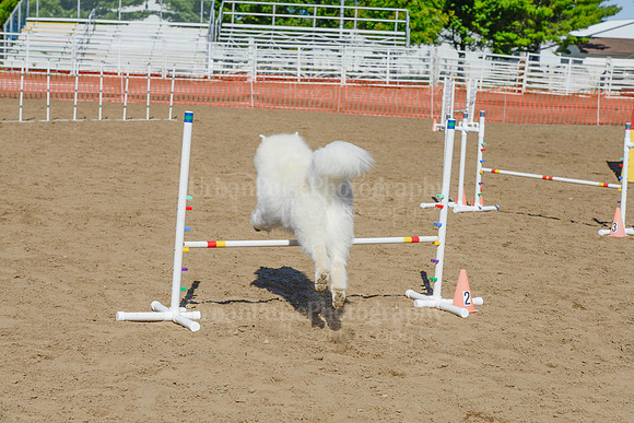 AGILITY-2206