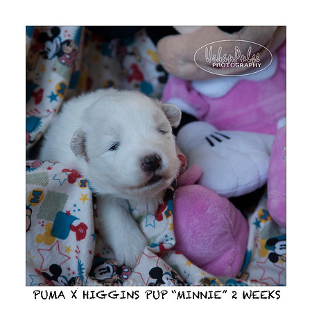 MINNIE_2WEEKS_3435
