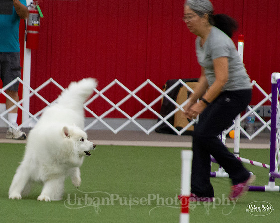 AGILITY_9429