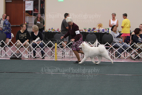 F9-12 Dog-7069