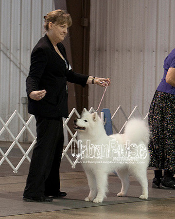 Fargo_2011-3869