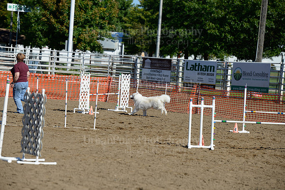 AGILITY-1995