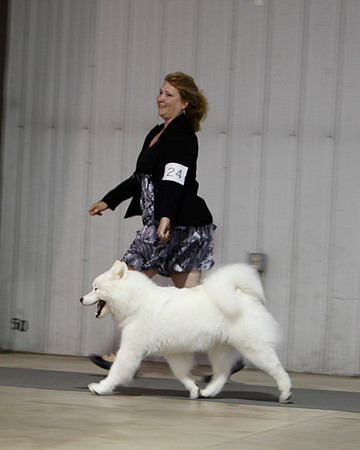 Fargo_2011-3733