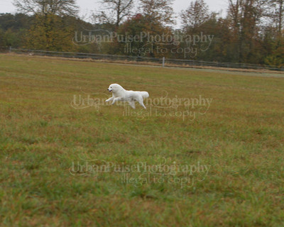 SCA2016_LURE COURSING-7674