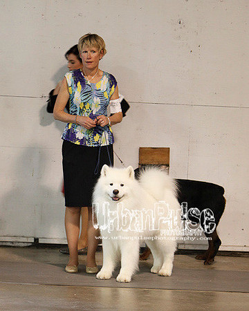 Fargo_2011-4598