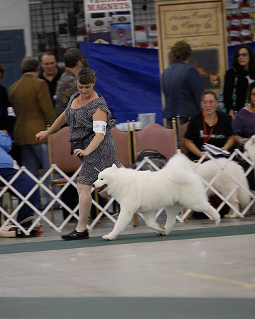 SCANational2012_Allele_2201