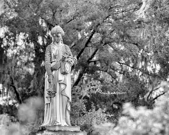 Savannah_9841