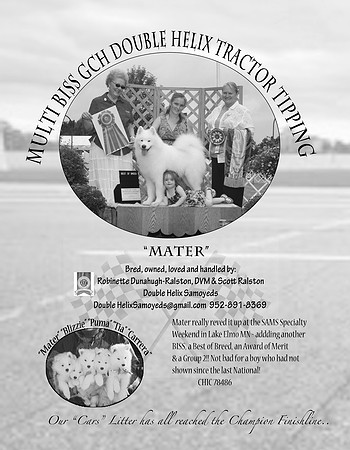 Mater SCA Bulletin Ad 2014 left page BW copy