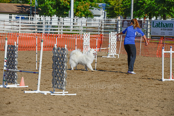 AGILITY-2143