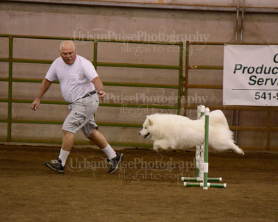 SCA2016_AG MON FAST NOVICE-3525