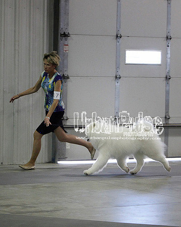 Fargo_2011-4546