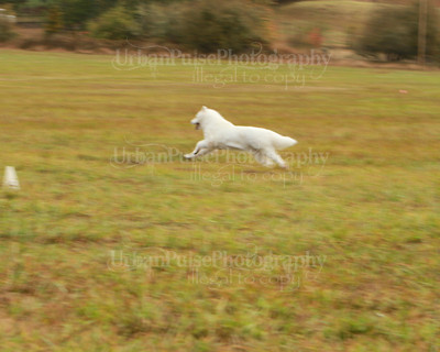 SCA2016_LURE COURSING-7330