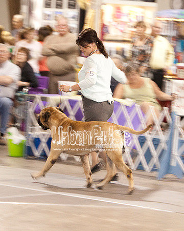 Fargo_2011-4104