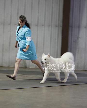 Fargo_2011-3742