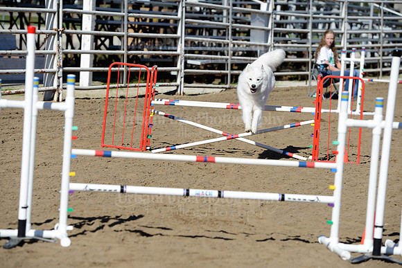 AGILITY-2012