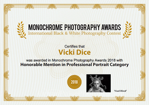 2018 Monochrome Awards - Honorable Mention "Hard Wired"