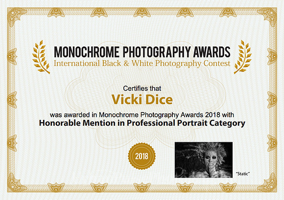 2018 Monochrome Awards - Honorable Mention "Static"