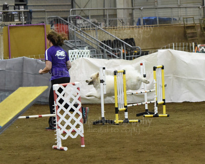 SCA2016_AG MON FAST NOVICE-0119