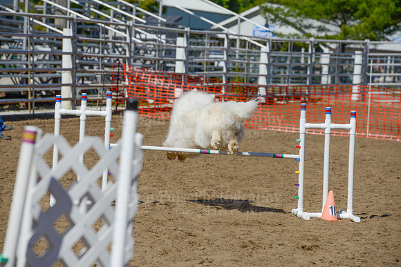 AGILITY-2373
