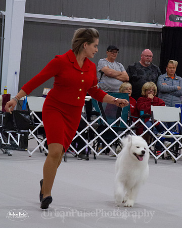 HANDLER SCA 2018-0478