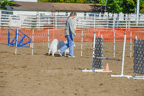 AGILITY-2168