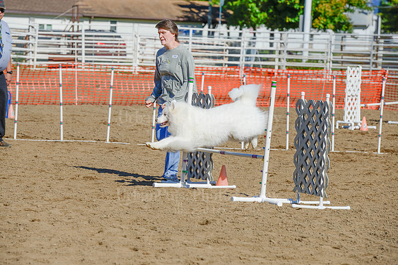 AGILITY-2171