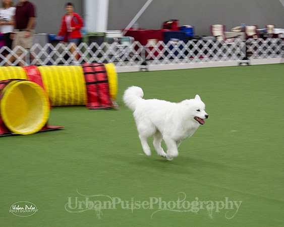 AGILITY_9465