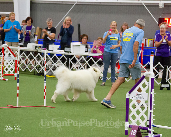 AGILITY_9518