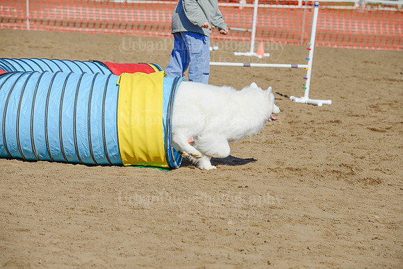 AGILITY-2173