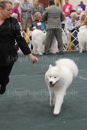 D BOB GR4-4072 2014 SCA National