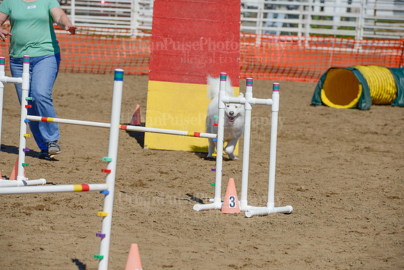 AGILITY-2355