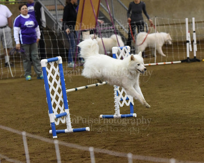 SCA2016_AG MON FAST NOVICE-0095