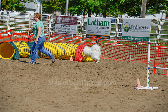 AGILITY-2341